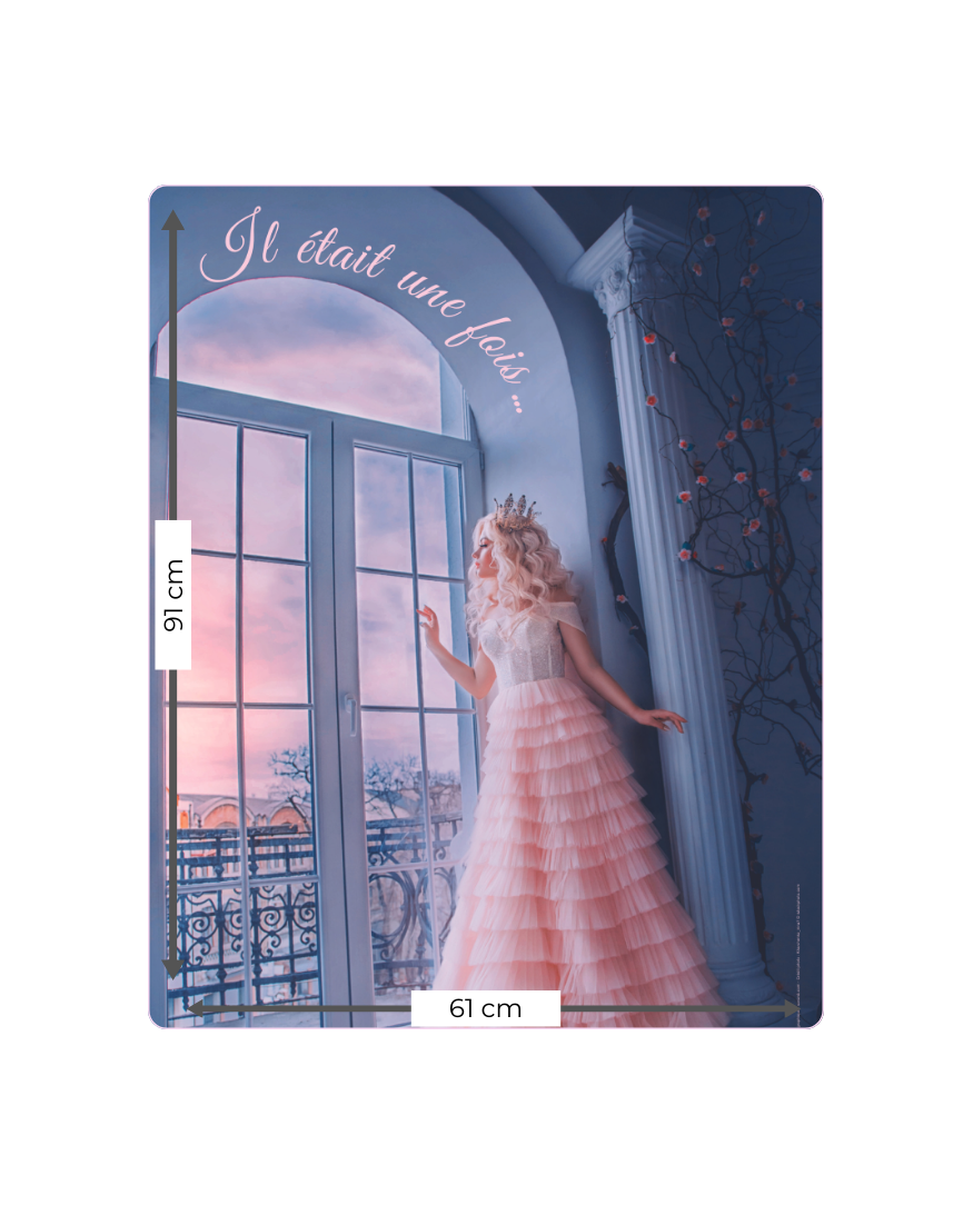 Affiche Il était une fois Fille au Pluriel